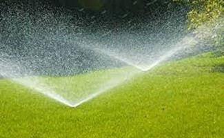 Prepared Sprinkler Site